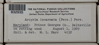 Image Associated With the Occurence